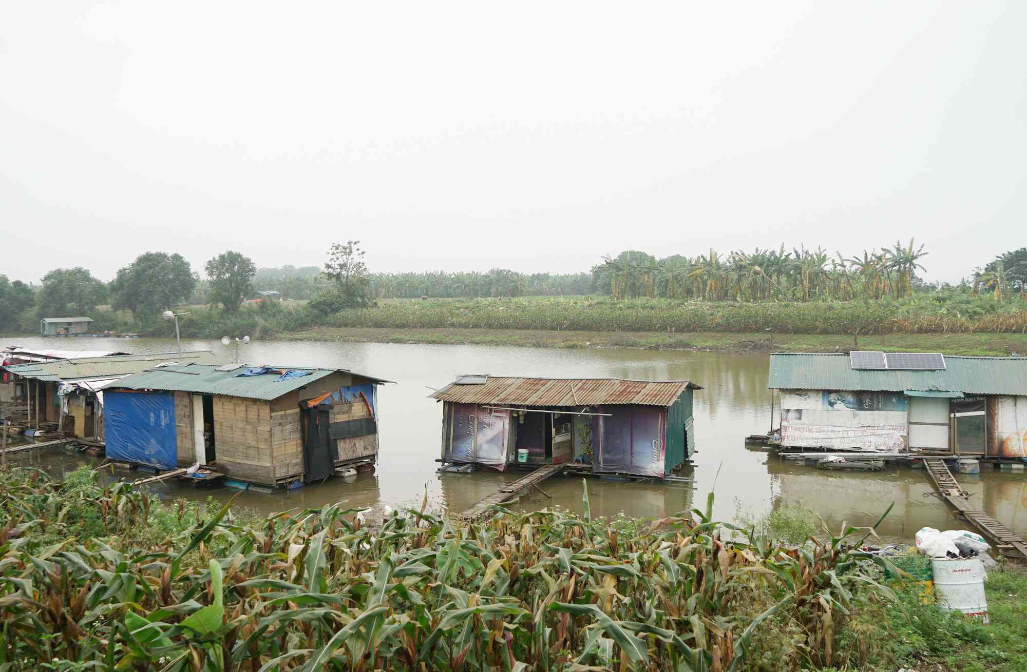 Cuộc sống cùng cực của dân xóm chài Hà Nội và nỗi lo quy hoạch - 7