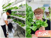 Nhà đẹp - Nhà Celeb: Sao Việt đầu tư làm vườn thủy canh, tốn tiền triệu nhưng thành quả xứng đáng