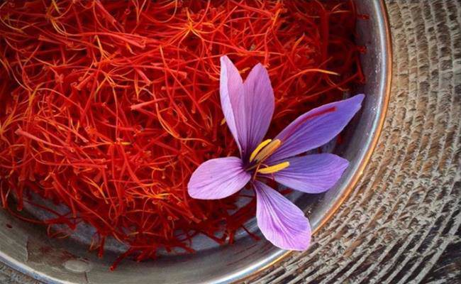 3 loại gia vị đắt nhất thế giới, 2 loại Việt Nam đã trồng thành công - 3