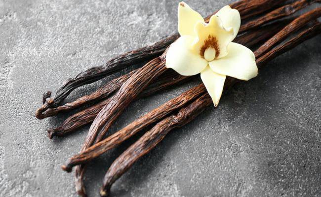 3 loại gia vị đắt nhất thế giới, 2 loại Việt Nam đã trồng thành công - 15