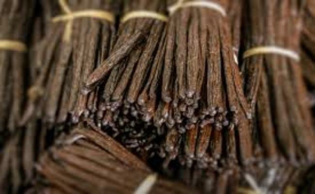 3 loại gia vị đắt nhất thế giới, 2 loại Việt Nam đã trồng thành công - 17