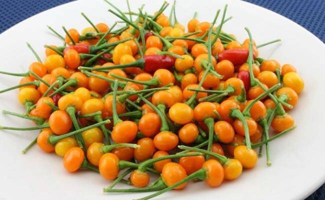 3 loại gia vị đắt nhất thế giới, 2 loại Việt Nam đã trồng thành công - 19