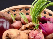 Sức khỏe - Trời nồm rau củ dễ mọc mầm, chuyên gia chỉ rõ loại dùng tốt như thuốc bổ, loại rất độc
