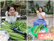 Nhà đẹp - Nhà Celeb: Nhà vườn 2.500m2 của Việt Trinh xum xuê cây quả, trồng cả ngô, cà... toàn thứ dân dã