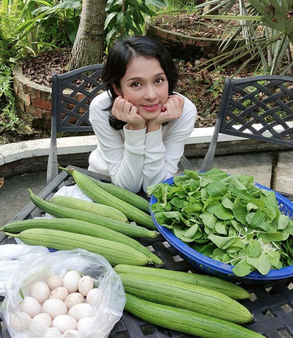 Nhà Celeb: Nhà vườn 2.500m2 của Việt Trinh sum xuê cây quả, trồng cả ngô, cà... toàn thứ dân dã - 11