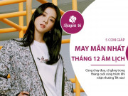 Clip Eva - 5 con giáp may mắn nhất tháng 12 Âm lịch, bứt phá trong tháng cuối cùng của năm