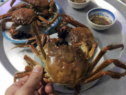 Xem ăn chơi - Đặc sản độc nhất vô nhị chỉ có ở Bắc Giang, cực quý và hiếm ít ai được nếm thử