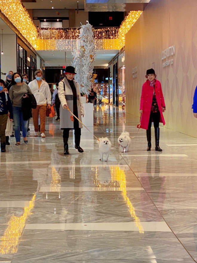 2 nữ nghệ sĩ diện đồ đôi như chị em song sinh, cùng dắt 2 chú cún cưng dạo phố.