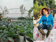 Nhà đẹp - Làm vườn 300m2, bà chủ quán cà phê hoá nông dân khuân 100 bao đất trên sân thượng