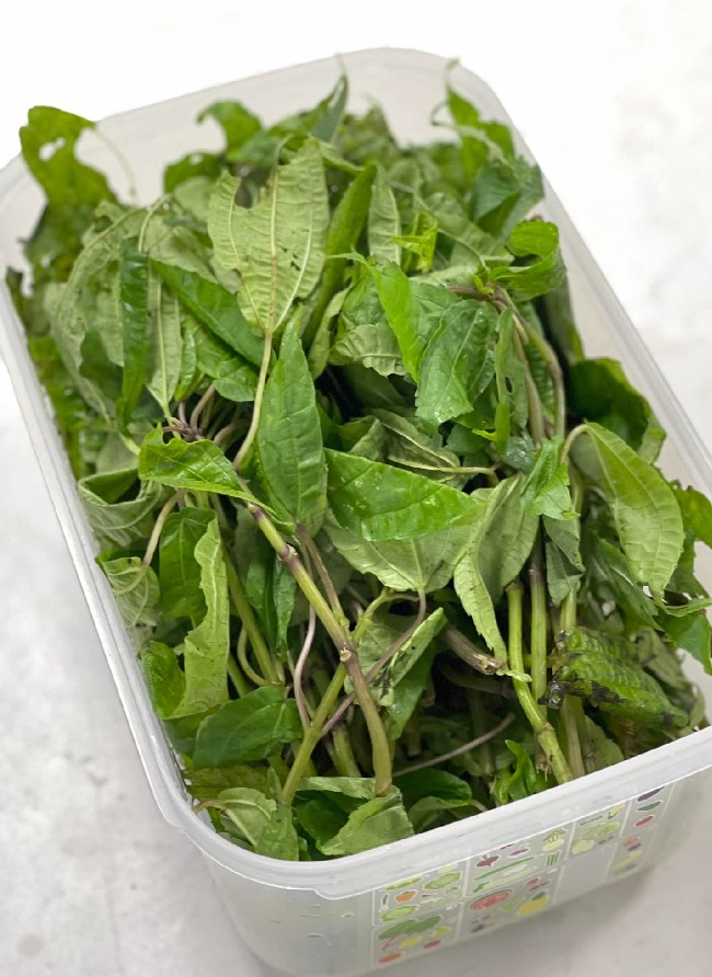 Loại rau dại xưa ăn “chống đói” nay thành đặc sản nổi tiếng ở phố thị, người giàu tìm mua - 4