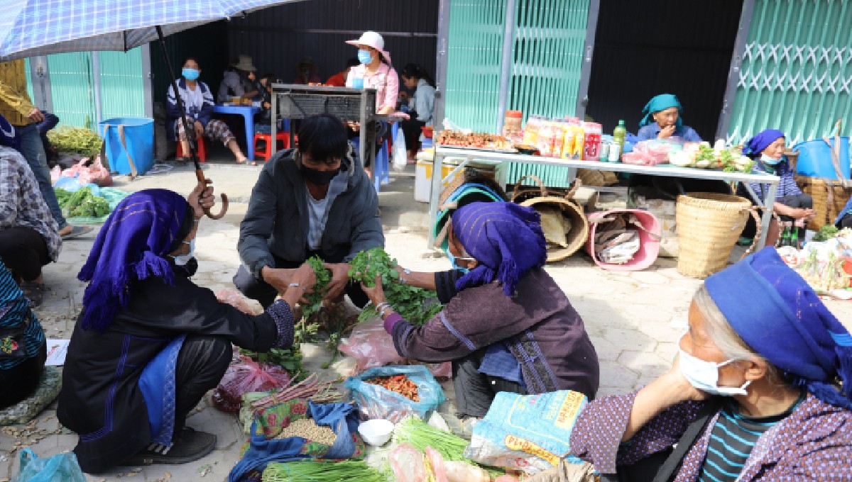 Rau pạ phì được bán ở chợ phiên và tại một cửa hàng rau sạch ở Hà Nội.