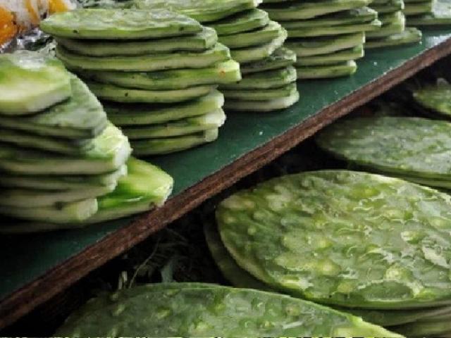 Loại cây trồng làm hàng rào, ai cũng nghĩ không ăn được ngờ đâu là đặc sản ngon nức tiếng