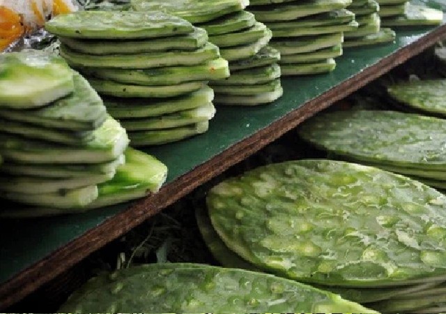 Loại cây trồng làm hàng rào, ai cũng nghĩ không ăn được ngờ đâu là đặc sản ngon nức tiếng - 1