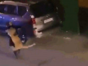 Clip Eva - Clip: Người phụ nữ dùng tay không bế sư tử sổng chuồng trên phố