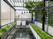 Nhà đẹp - Bố Hà Nội nửa đêm còn mò mẫm làm vườn sân thượng 100m2, được thành quả mỹ mãn