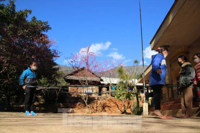 Hoa anh đào bung nở tạo nên một tuyệt phẩm ở miền Tây xứ Nghệ - 7