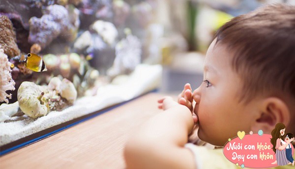 Nhiều đứa trẻ nào cũng hỏi cha mẹ những câu hỏi kỳ lạ, trẻ càng tò mò về những gì cho thấy mong muốn khám phá và giải quyết vấn đề càng cao.