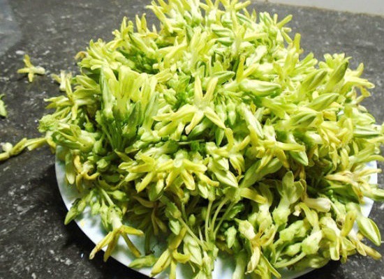 Loại cây xưa trồng làm hàng rào bất ngờ thành đặc sản ở phố thị, 110.000đồng/kg chị em amp;#34;săn lùngamp;#34; - 2