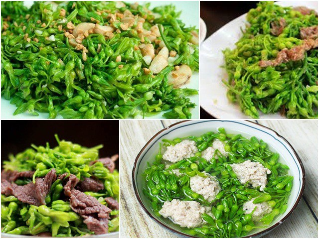 Một số món ngon từ hoa thiên lý.