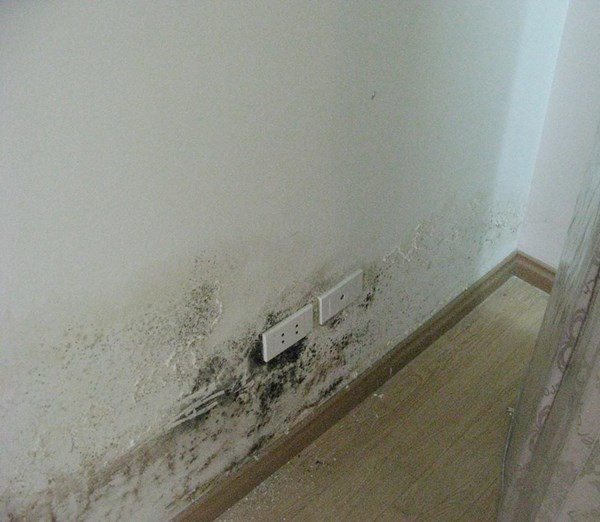 Cuối năm dọn nhà cứ dùng những thứ này lau, tường bẩn mấy cũng sạch sau 5 phút - 2