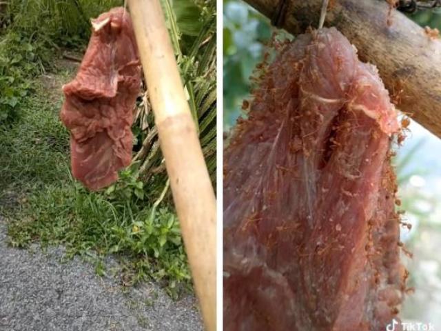 Đặc sản ai nghe tên cũng rùng mình chỉ có ở Vĩnh Phúc, ăn lại nghiện vì quá ngon