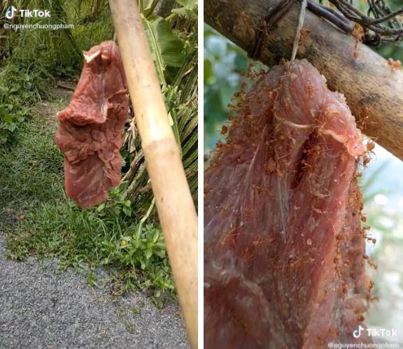 Đặc sản ai nghe tên cũng “rùng mình” chỉ có ở Vĩnh Phúc, ăn lại nghiện vì quá ngon - 3