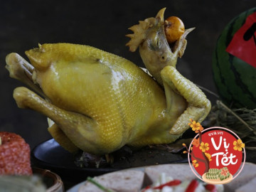 Học bố đảm cách luộc gà ngon, đẹp, không nứt da để thắp hương ngày Tết