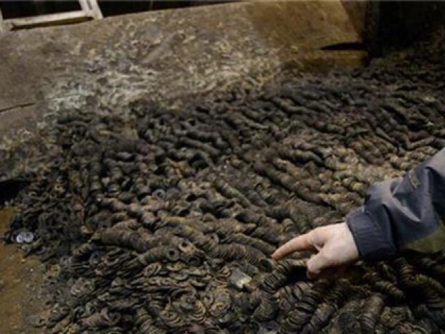 Đào móng xây nhà nghe thấy âm thanh lạ, người nông dân ngỡ ngàng khi đào lên