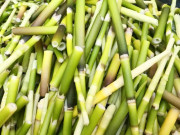 Xem ăn chơi - Thứ đặc sản chỉ có ở Nghệ An, xưa chẳng ai biết nay nhiều người lùng tìm, bán không xuể