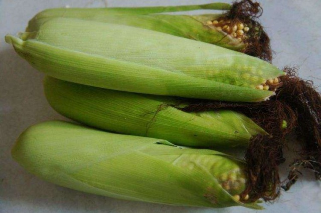 Boil corn without adding sugar, adding this makes the corn softer and sweeter, not everyone knows - 3