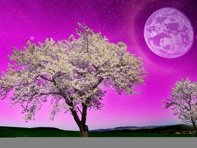 Trắc nghiệm tâm lý: Bức tranh mặt trăng nào khiến bạn ấn tượng nhất?