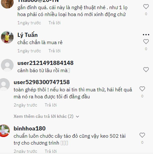 Hí hửng mua cây bưởi tiền triệu về trưng Tết, người đàn ông amp;#34;ngã ngửaamp;#34; vì bị lừa ngoạn mục - 3