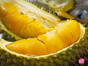 Tiêu dùng - 5 sự thật "khó đỡ" về trái sầu riêng, nhiều người nghiện quả này nhưng chắc chắn chưa biết