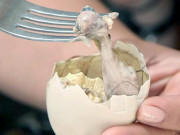 Xem ăn chơi - 8 món ăn kinh dị nhất Trung Quốc, thách thức cả những thực khách siêu dũng cảm