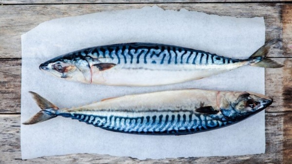 Món cá giúp chuyên gia dinh dưỡng giảm 15kg trong nửa năm, đường ruột trơn tru, da dẻ đẹp - 3