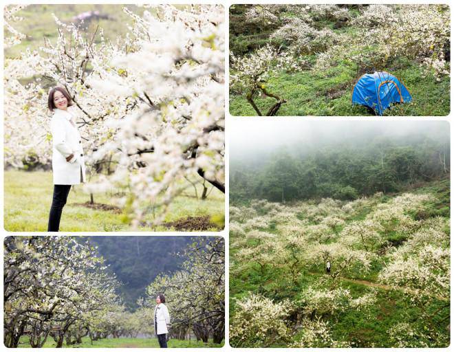 Ảnh: Nguyễn Anh Chiêm