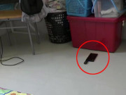 Tin tức - 3h sáng thấy ánh sáng chập chờn dưới thùng đồ, cô gái phát hiện sự thật sốc về anh rể