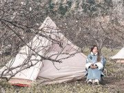 Xem ăn chơi - Hoa mận Mộc Châu nở trắng rừng, du khách tấp nập tới check-in