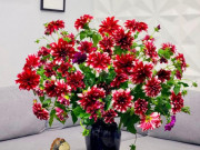 Tin tức - Loài hoa nhà nhà ở Hà Nội xưa chơi Tết, một thời chìm vào quên lãng nay "hot" trở lại