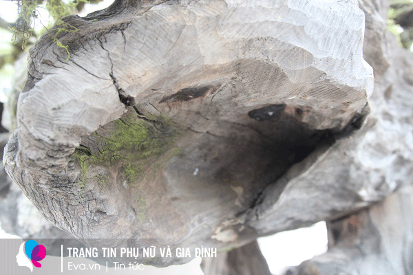 Chủ nhân tác phẩm cho biết, chỉ có loại gỗ chắc mới có thể đỡ được tác phẩm và cũng giúp nâng tầm tác phẩm.