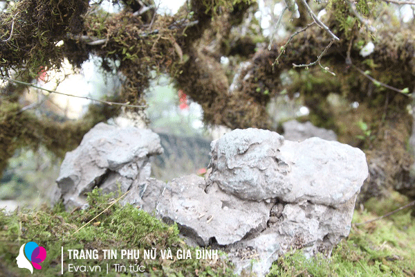 Các tảng đá được tạo hình để tác phẩm mang dáng vẻ đồ sộ và có điểm nhấn.