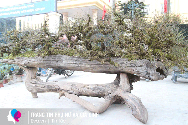 Tác phẩm hiện đang được trưng bày và sẵn sàng cho thuê ở đường Lạc Long Quân.