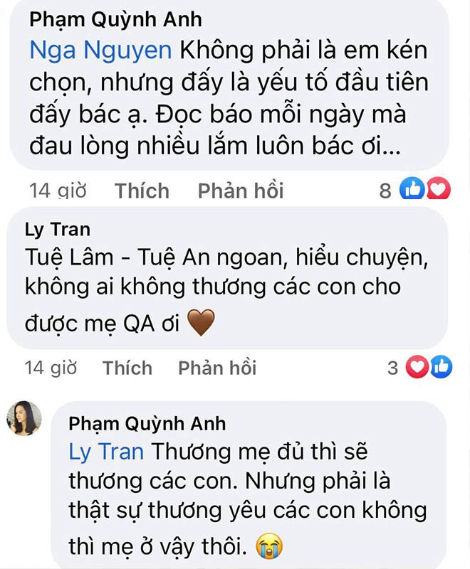 Giữa vụ bố dượng đóng đinh con riêng, mẹ đơn thân Phạm Quỳnh Anh nói điều kiện tái hôn - 3