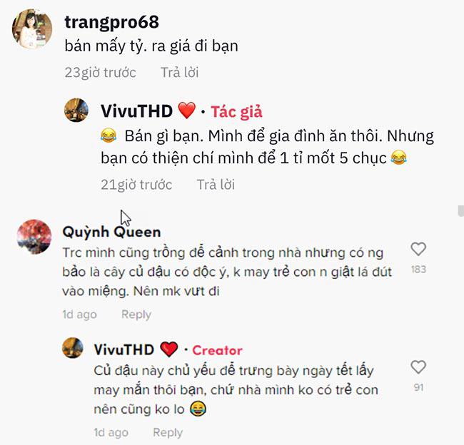 Xuất hiện cây cảnh trưng Tết amp;#34;độc nhất Việt Namamp;#34;, thánh mua hàng online thi nhau chốt giá tiền tỷ - 4
