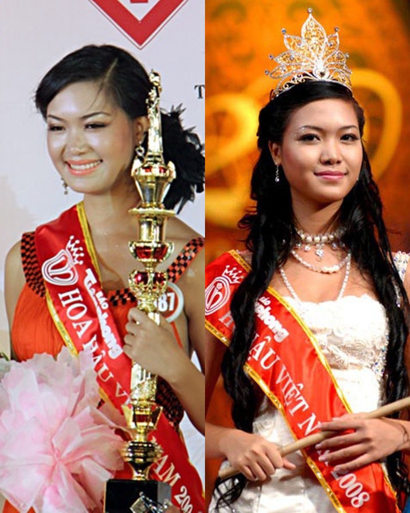Khi đăng quang năm 2008, cô gái tới từ Đà Nẵng là Hoa hậu Việt Nam đầu tiên đại diện cho miền Trung. Tuy nhiên, ồn ào chưa tốt nghiệp trung học phổ thông đã khiến Thuỳ Dung từng suýt bị tước vương miện do áp lực của dư luận.
