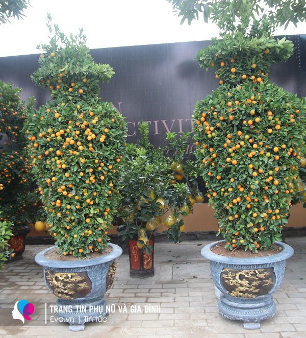 img alt src/upload/1-2022/images/2022-01-23/image_dai_dien_gif17-1642948771-603-width600height400.gif stylewidth: 600px; height: 400px; /