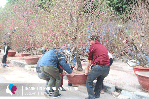 img alt src/upload/1-2022/images/2022-01-23/image_dai_dien_gif12-1642948635-740-width600height400.gif stylewidth: 600px; height: 400px; /