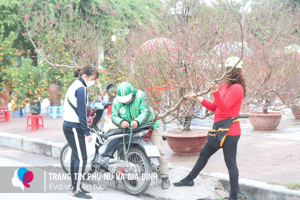 Lộ diện những cây đào, quất amp;#34;khủngamp;#34; Tết 2022 ở vỉa hè: Người bán chia sẻ bất ngờ - 10