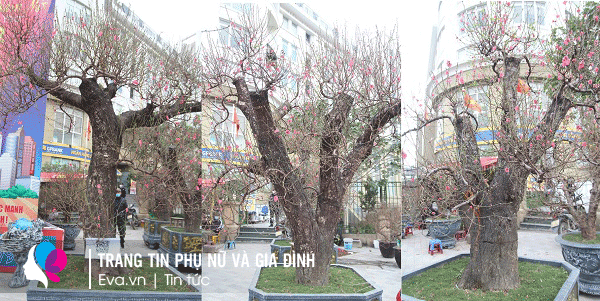 img alt src/upload/1-2022/images/2022-01-23/image_dai_dien_gif5-1642948152-245-width600height400.gif stylewidth: 600px; height: 400px; /