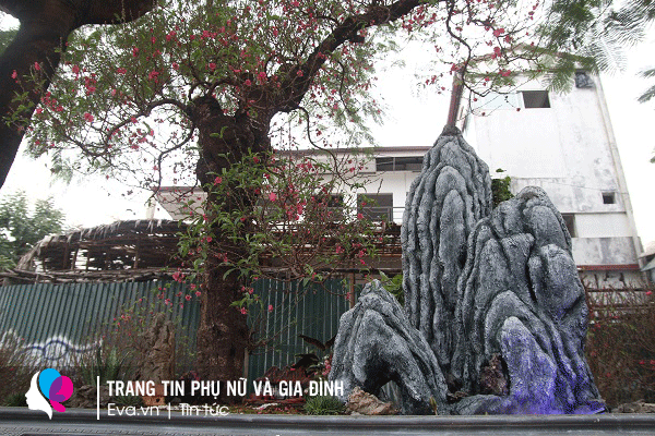 img alt src/upload/1-2022/images/2022-01-23/image_dai_dien_gif7-1642948349-749-width600height400.gif stylewidth: 600px; height: 400px; /